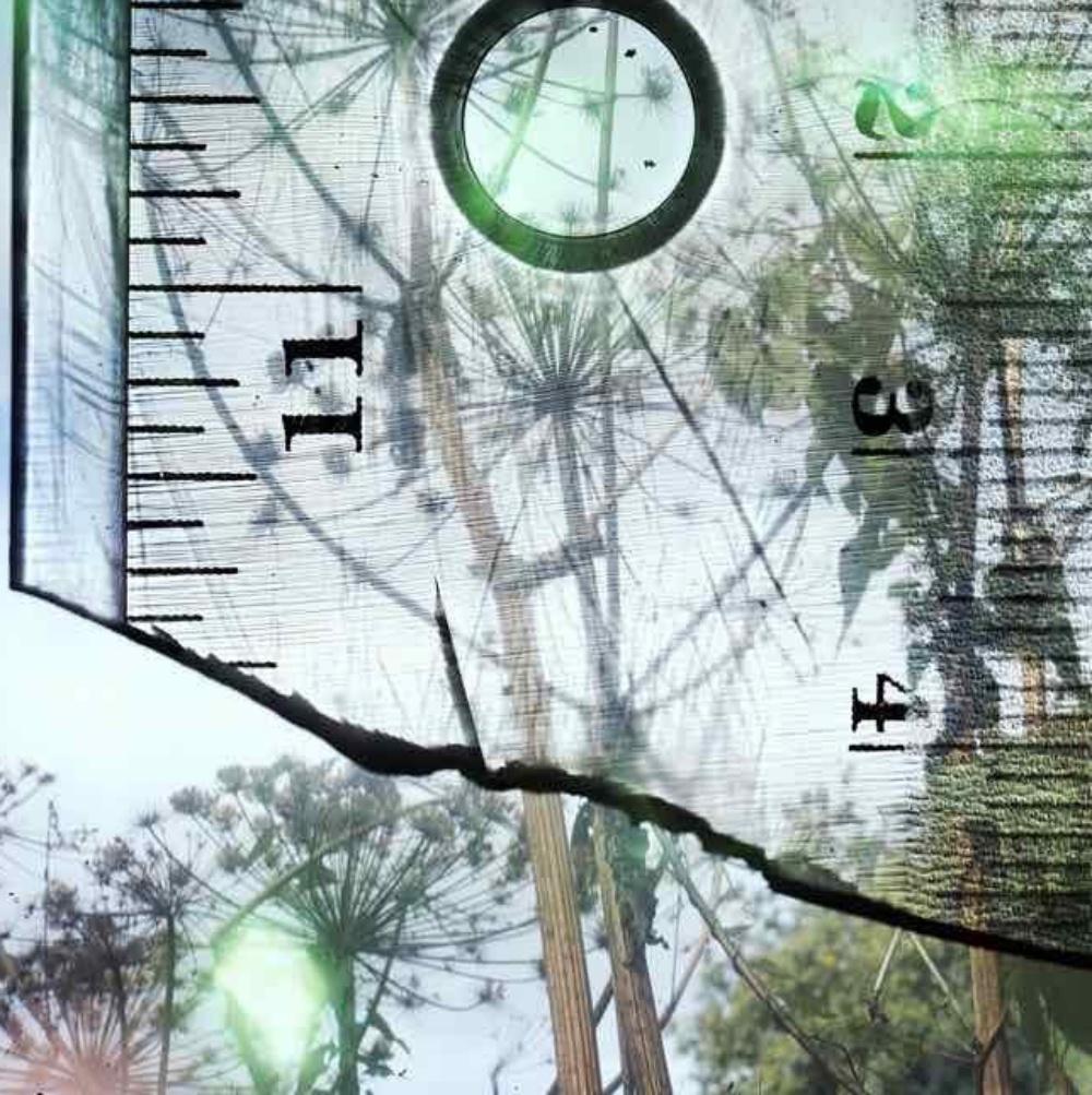 Ohne Titel, aus „Talking to Ants“ Stephen Gill, Farbe, Abstrakt, Landschaft im Angebot 3