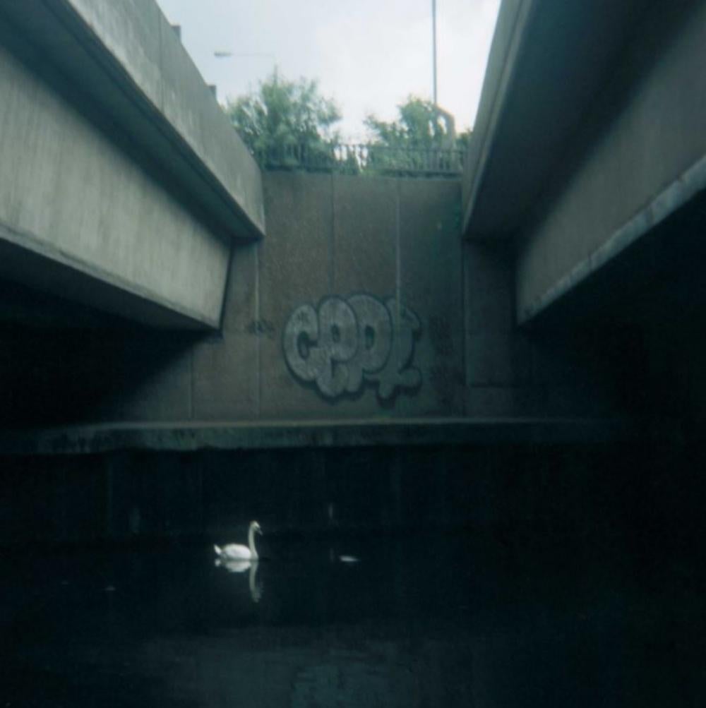 Ohne Titel, aus der Serie „Hackney Wick“ Stephen Gill, Farbe, Schwan, Wasser im Angebot 1