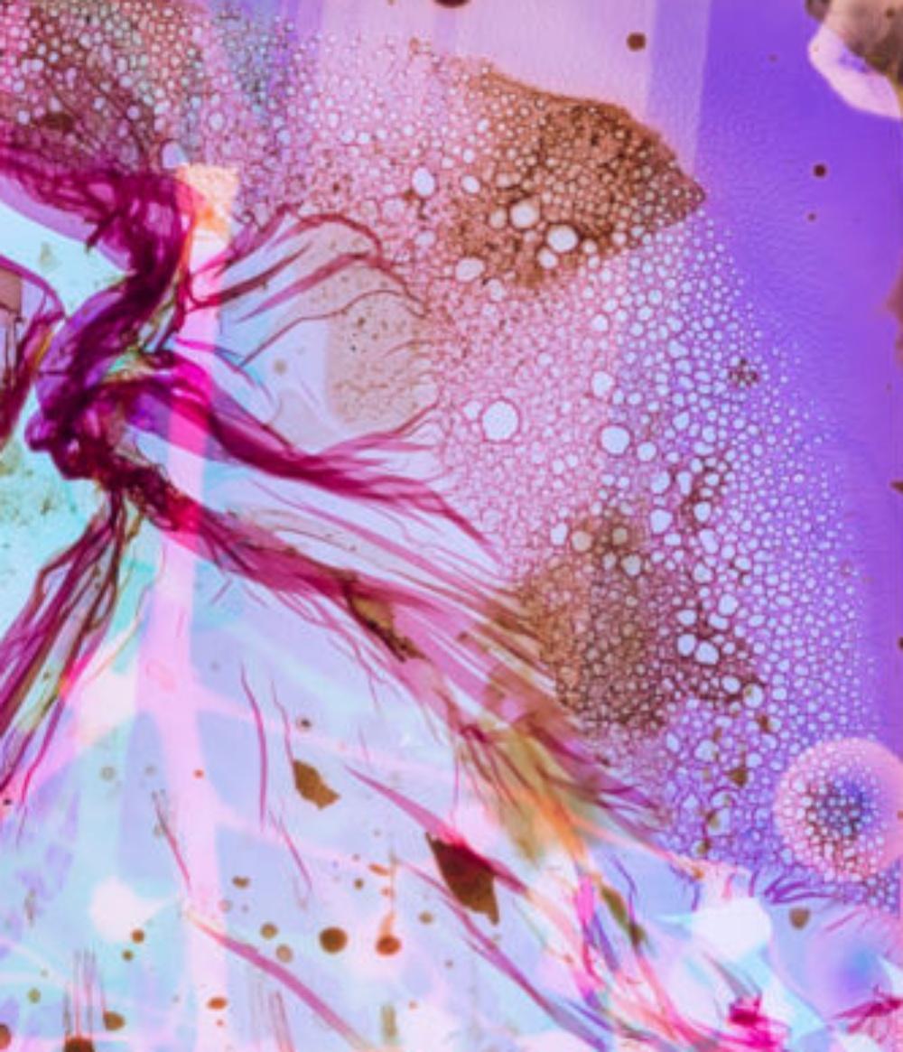 Campo de Energía #053 - Stephen Gill, Color, Abstracto, Patrón, Fotografía, Arte en venta 1