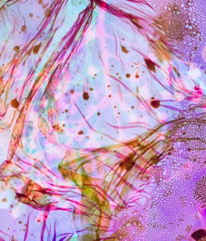 Campo de Energía #053 - Stephen Gill, Color, Abstracto, Patrón, Fotografía, Arte en venta 2