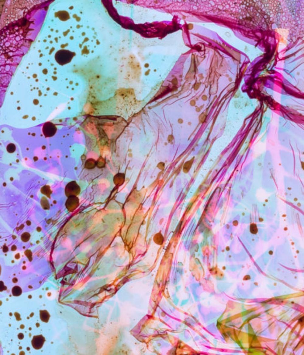 Campo de Energía #053 - Stephen Gill, Color, Abstracto, Patrón, Fotografía, Arte en venta 3