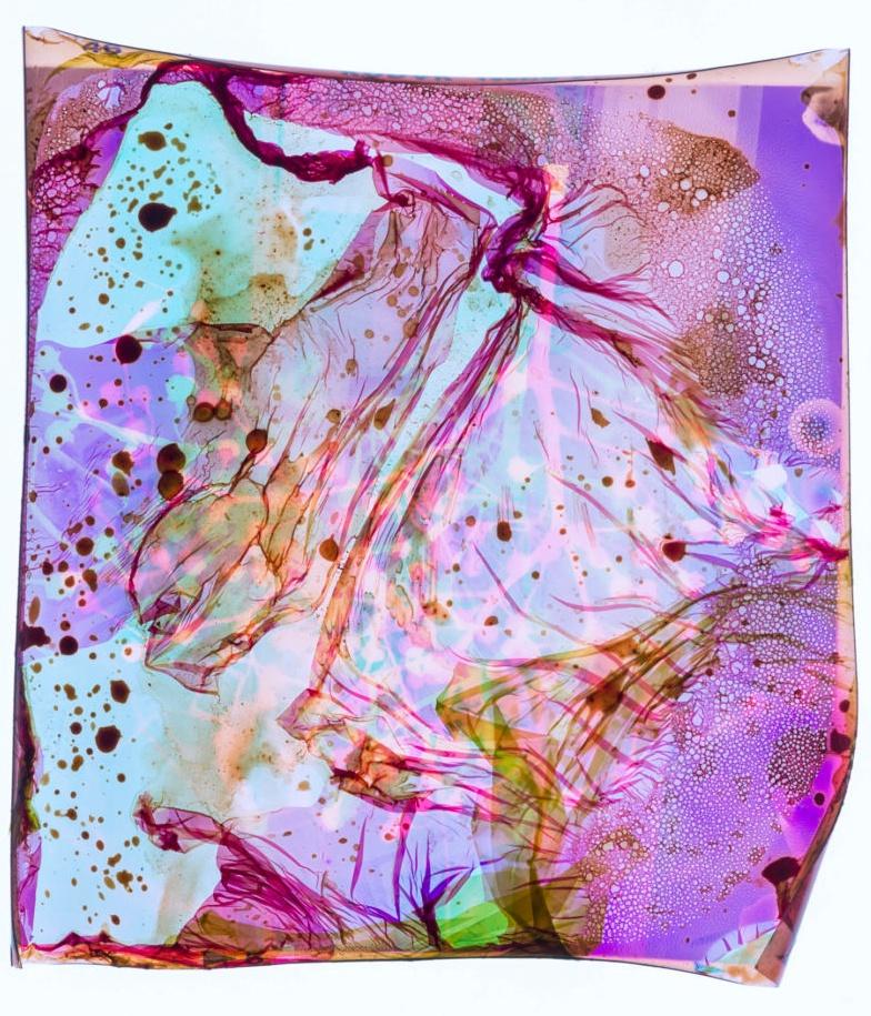 Campo de Energía #053 - Stephen Gill, Color, Abstracto, Patrón, Fotografía, Arte en venta 4