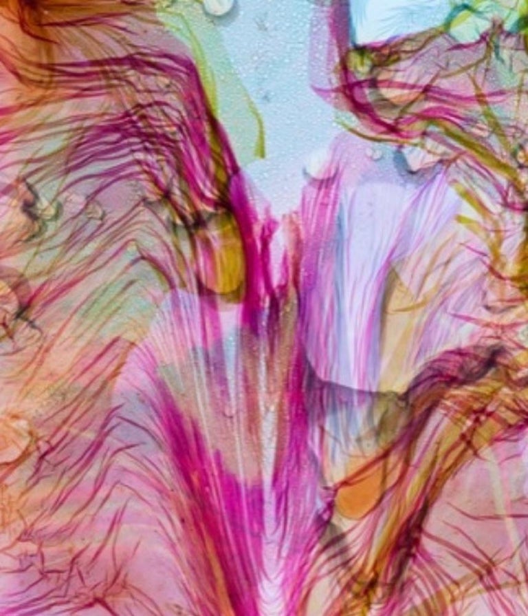 Stephen Gill - Energy Field #135 – Stephen Gill, Colour, Abstract ...