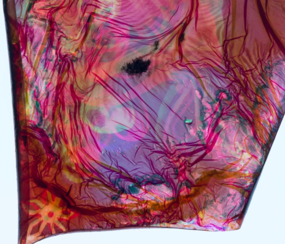 Campo de energía nº 260 - Stephen Gill, Color, Abstracto, Patrón, Fotografía, Arte en venta 1