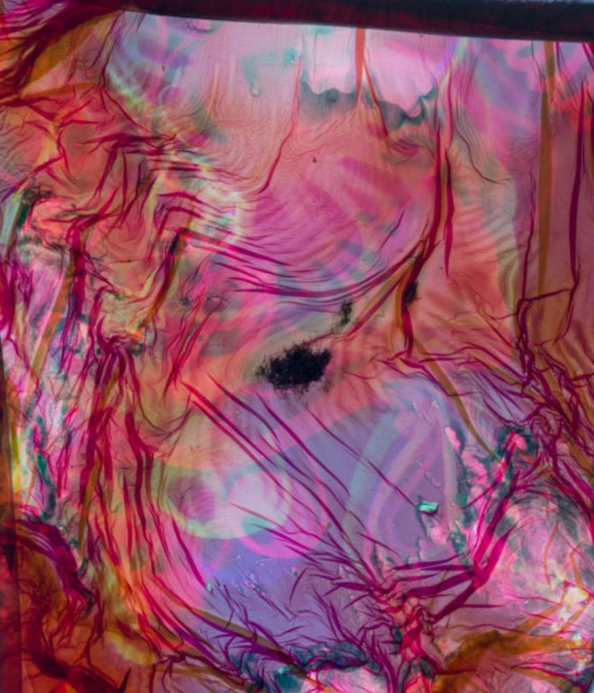 Campo de energía nº 260 - Stephen Gill, Color, Abstracto, Patrón, Fotografía, Arte en venta 2
