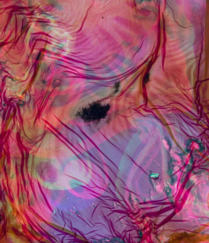 Campo de energía nº 260 - Stephen Gill, Color, Abstracto, Patrón, Fotografía, Arte en venta 3