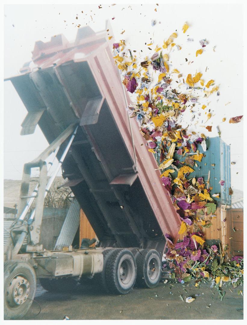 Stephen GILL (*1971, Großbritannien)
Ohne Titel, aus der Serie 'Hackney Flowers', 2005/2007
Handabdruck auf C-Papier
Bild 60,7 x 50,8 cm (23 7/8 x 20 in.)
Blatt 60,7 x 50,8 cm (23 7/8 x 20 in.)
Auflage von 10, plus 2 AP; AP2 (aus einer vergriffenen