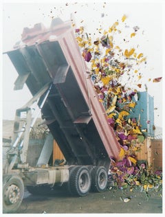 Ohne Titel, aus „Hackney Flowers“ Stephen Gill, Farbe, Truck, Blumen, Blütenblätter