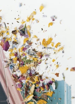 Ohne Titel, aus „Hackney Flowers“ Stephen Gill, Farbe, Truck, Blumen, Blütenblätter