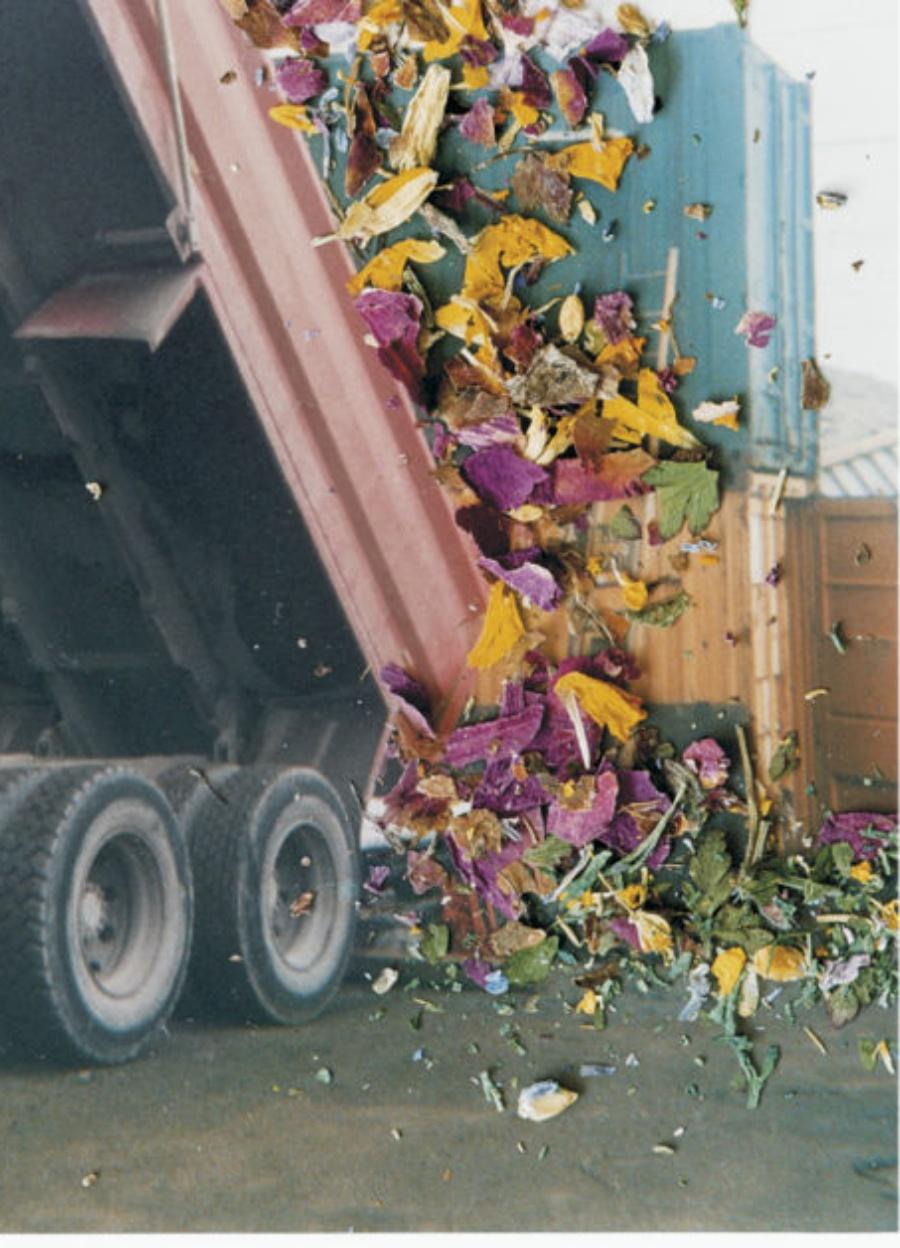 Ohne Titel, aus „Hackney Flowers“ Stephen Gill, Farbe, Truck, Blumen, Blütenblätter im Angebot 2