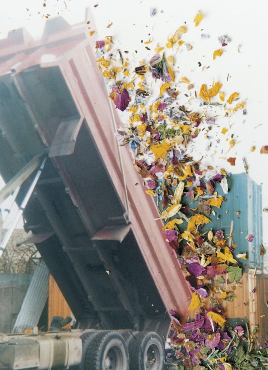 Ohne Titel, aus „Hackney Flowers“ Stephen Gill, Farbe, Truck, Blumen, Blütenblätter im Angebot 4
