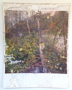 Ohne Titel, aus der Serie „Buried“ Stephen Gill, Farbe, Abstrakt, Kunst, Natur
