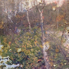 Ohne Titel, aus der Serie „Buried“ Stephen Gill, Farbe, Abstrakt, Kunst, Natur