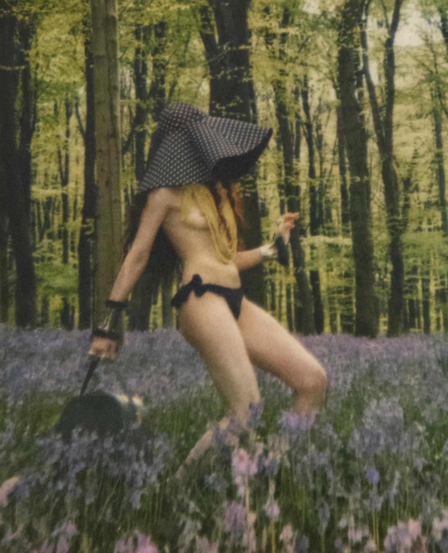 Bluebell Landing – Emma Summerton, Polaroid, Fashion, Art, Nude, Woman, Forrest For Sale 1