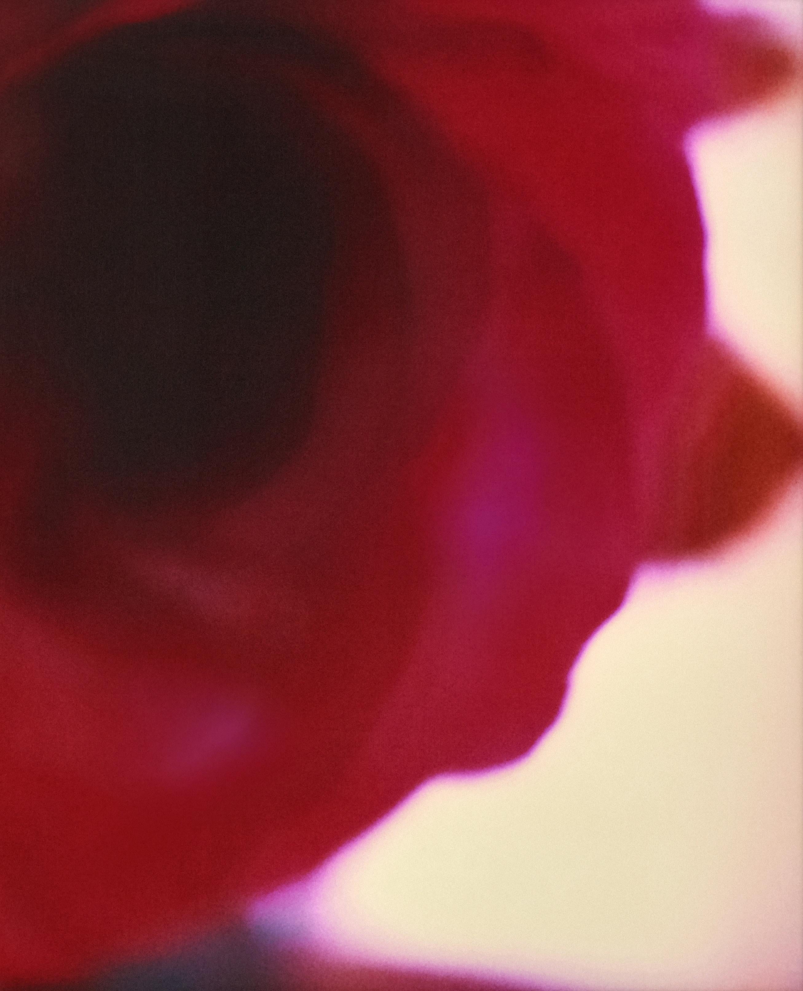 A Rose Is A Emma Summerton, Polaroid, Couleur, Lumière, Rose, Rouge, Fleur, Art en vente 1