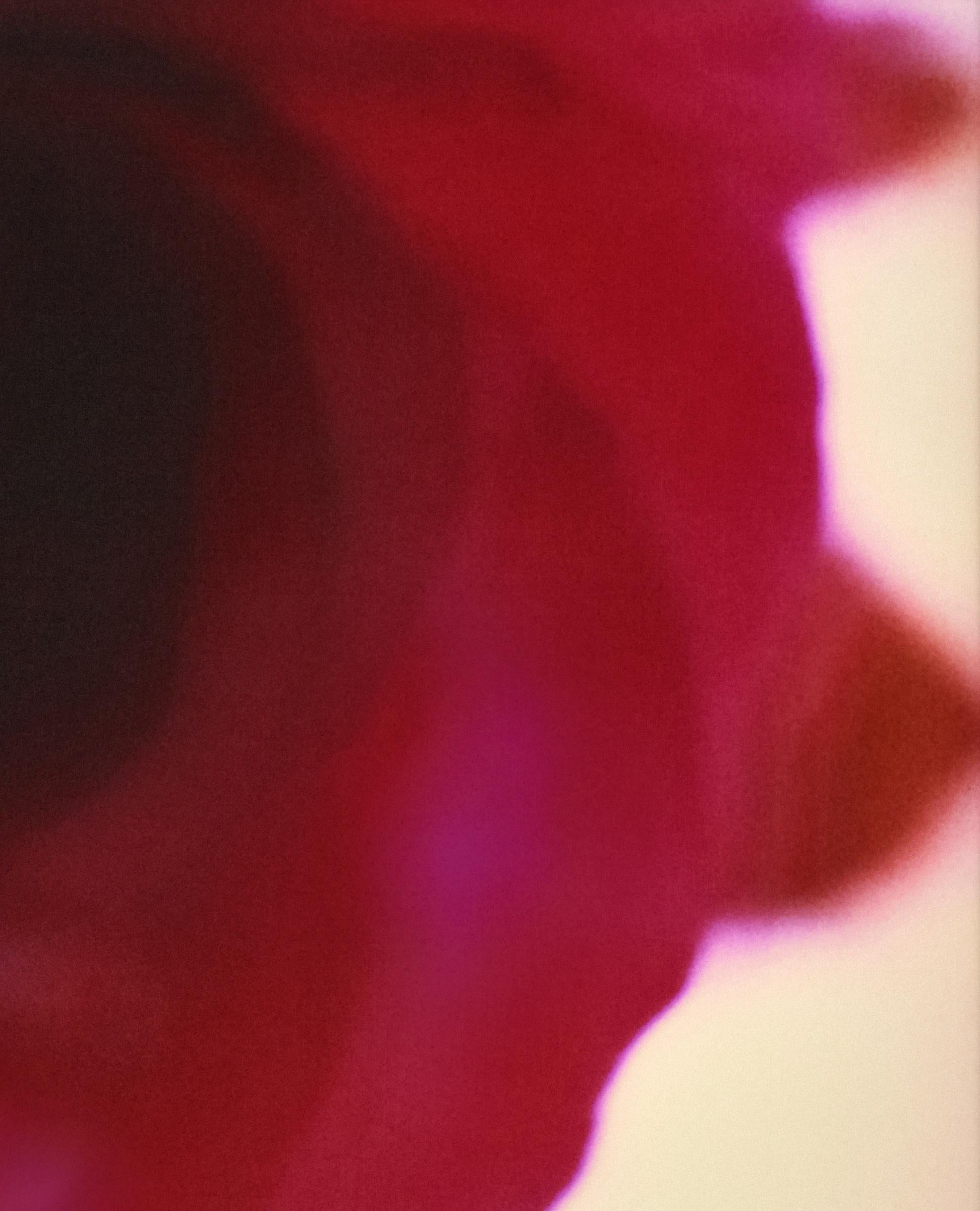 A Rose Is A Emma Summerton, Polaroid, Couleur, Lumière, Rose, Rouge, Fleur, Art en vente 3
