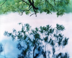 Risaku Suzuki - Water Mirror 17, WM-758 – Risaku Suzuki, Nature, Tree, Japanese, Reflection Water Mirror 17, WM-758 – Risaku Suzuki, Nature, Tree, Japanese, Reflection