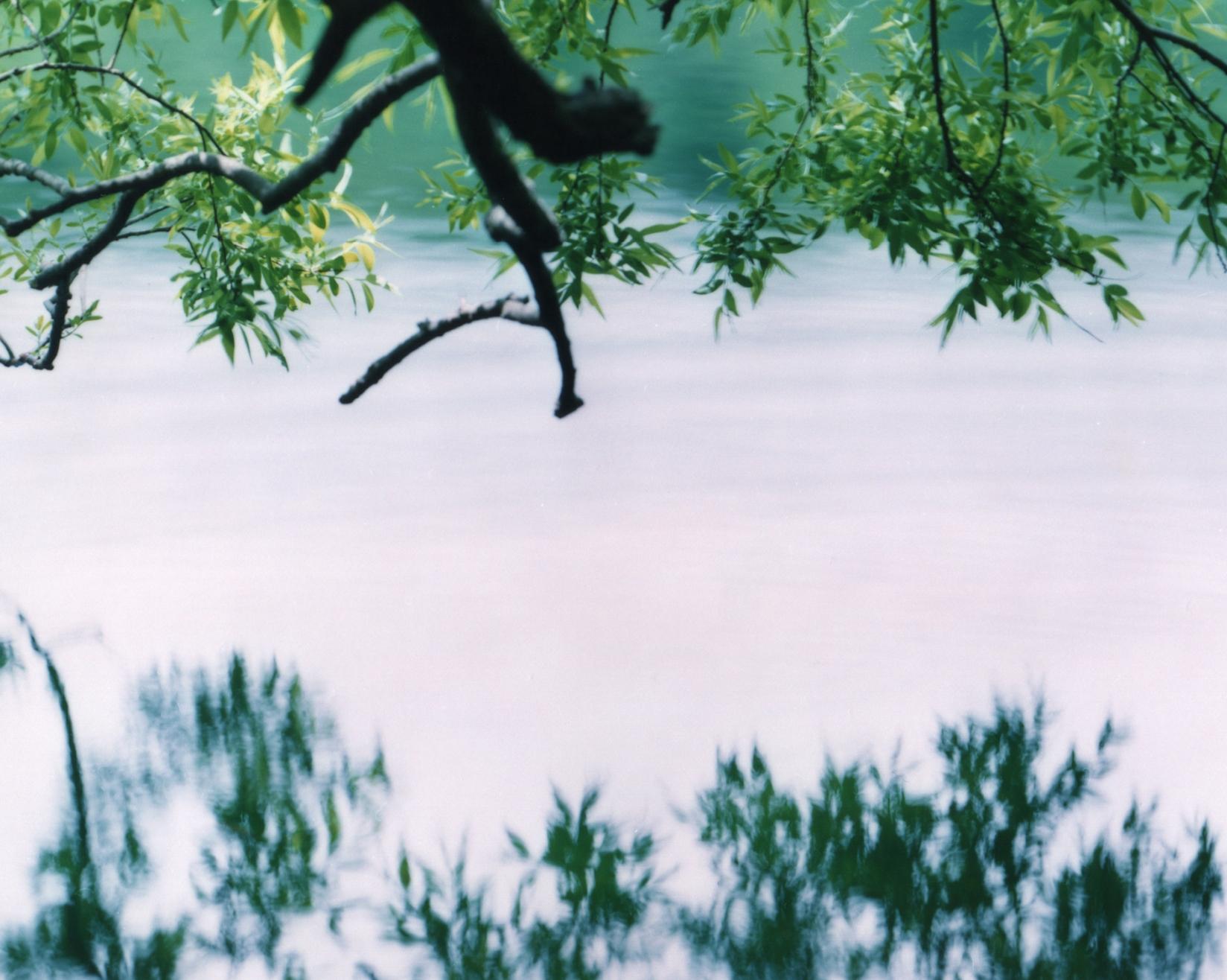 Water Mirror 17, WM-758 – Risaku Suzuki, Nature, Tree, Japanese, Reflection 1