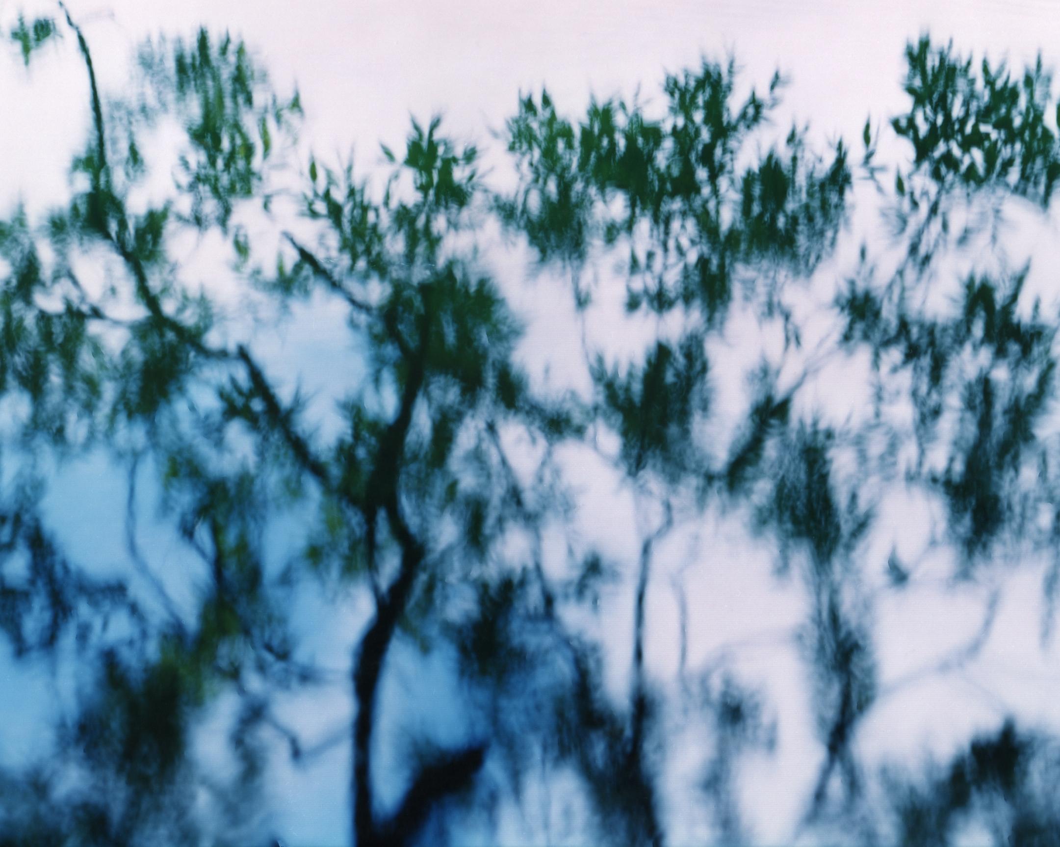 Water Mirror 17, WM-758 – Risaku Suzuki, Nature, Tree, Japanese, Reflection 2