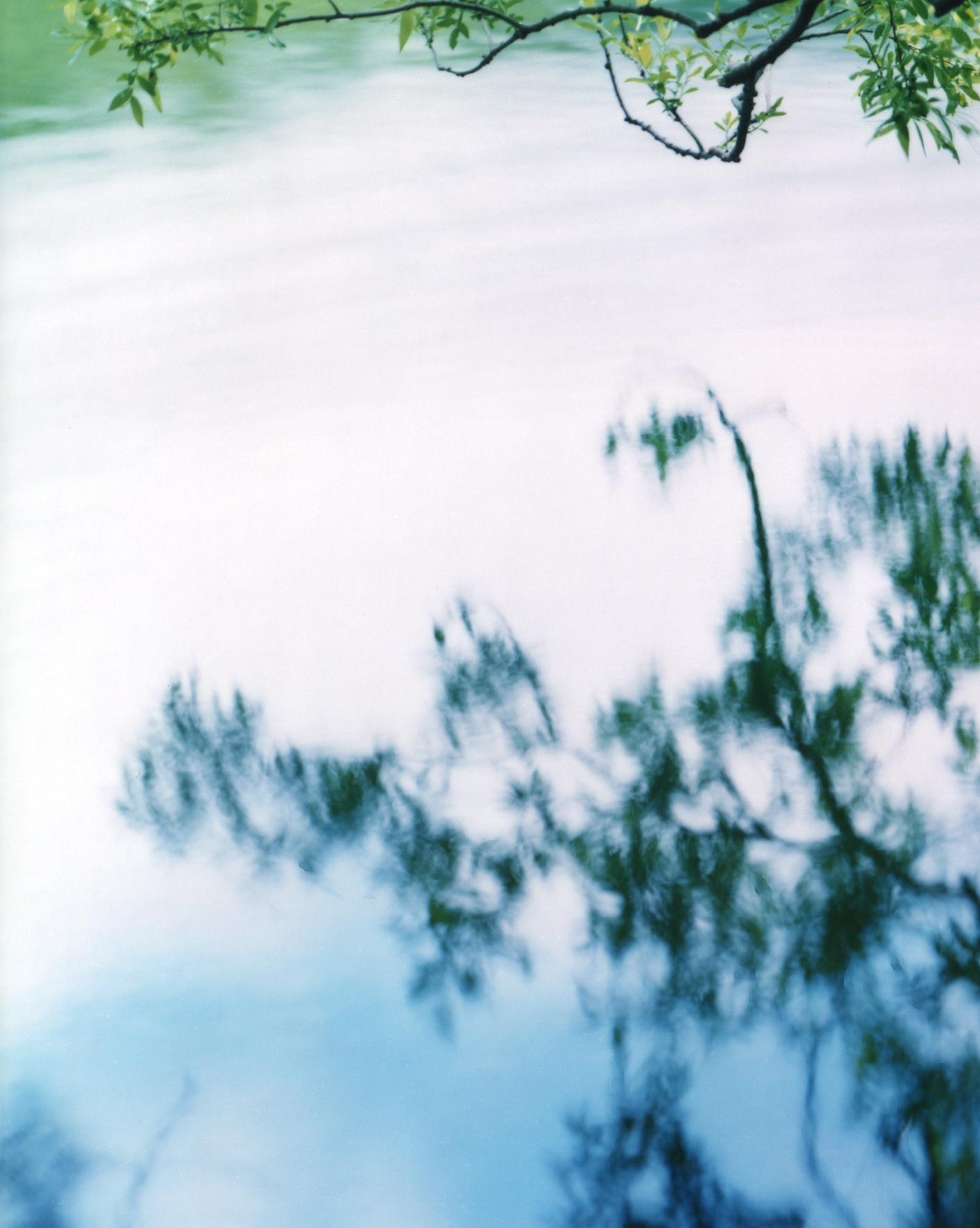 Water Mirror 17, WM-758 – Risaku Suzuki, Nature, Tree, Japanese, Reflection 3