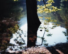 Wasserspiegel 15, WM-193 - Risaku Suzuki, Natur, Baum, Wasser, Himmel, Reflexion