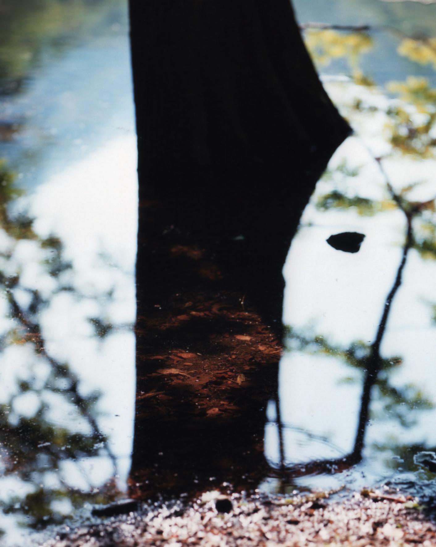 Water Mirror 15, WM-193 – Risaku Suzuki, Nature, Tree, Water, Sky, Reflection For Sale 1