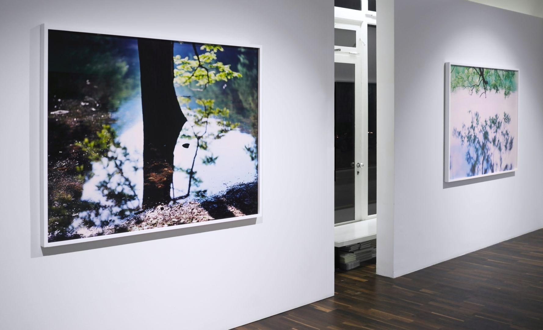 Water Mirror 15, WM-193 – Risaku Suzuki, Nature, Tree, Water, Sky, Reflection For Sale 2