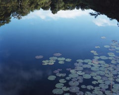 Water Mirror 15, WM-283 – Risaku Suzuki, Nature, Water Lily, Reflection, Pond