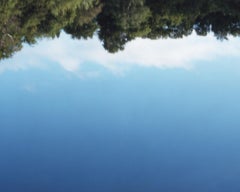 Espejo de agua 15, WM-283 - Risaku Suzuki, Naturaleza, Nenúfar, Reflejo, Estanque