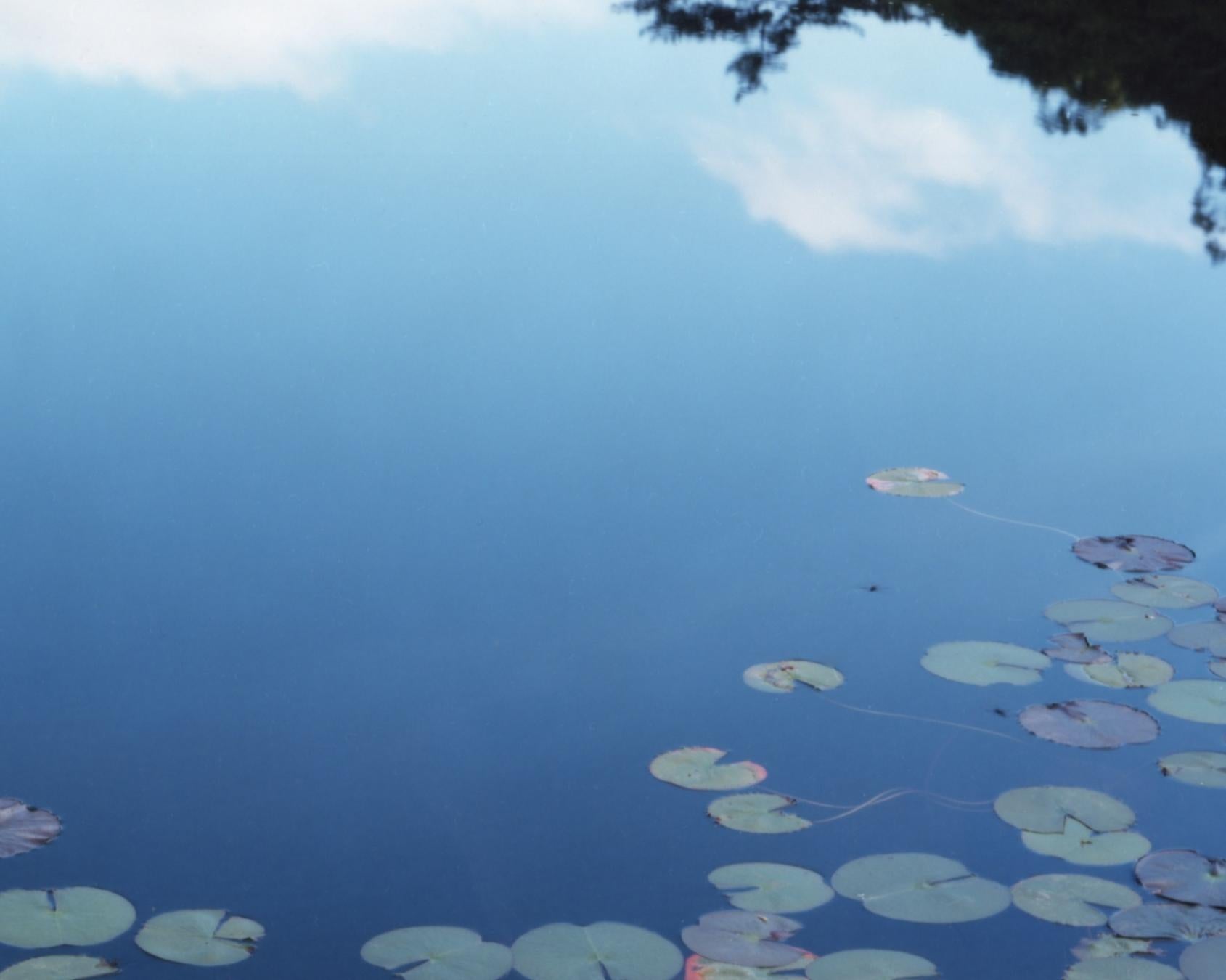 water reflection mirror image