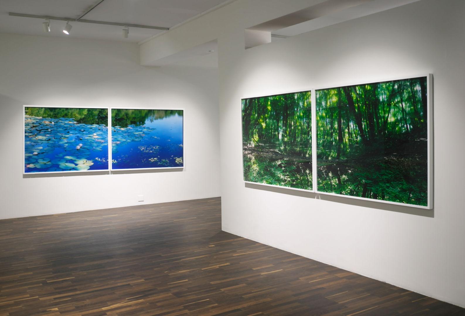 Water Mirror 17, WM-788, 787 (diptych) – Risaku Suzuki, Forest, Water, Reflection For Sale 3