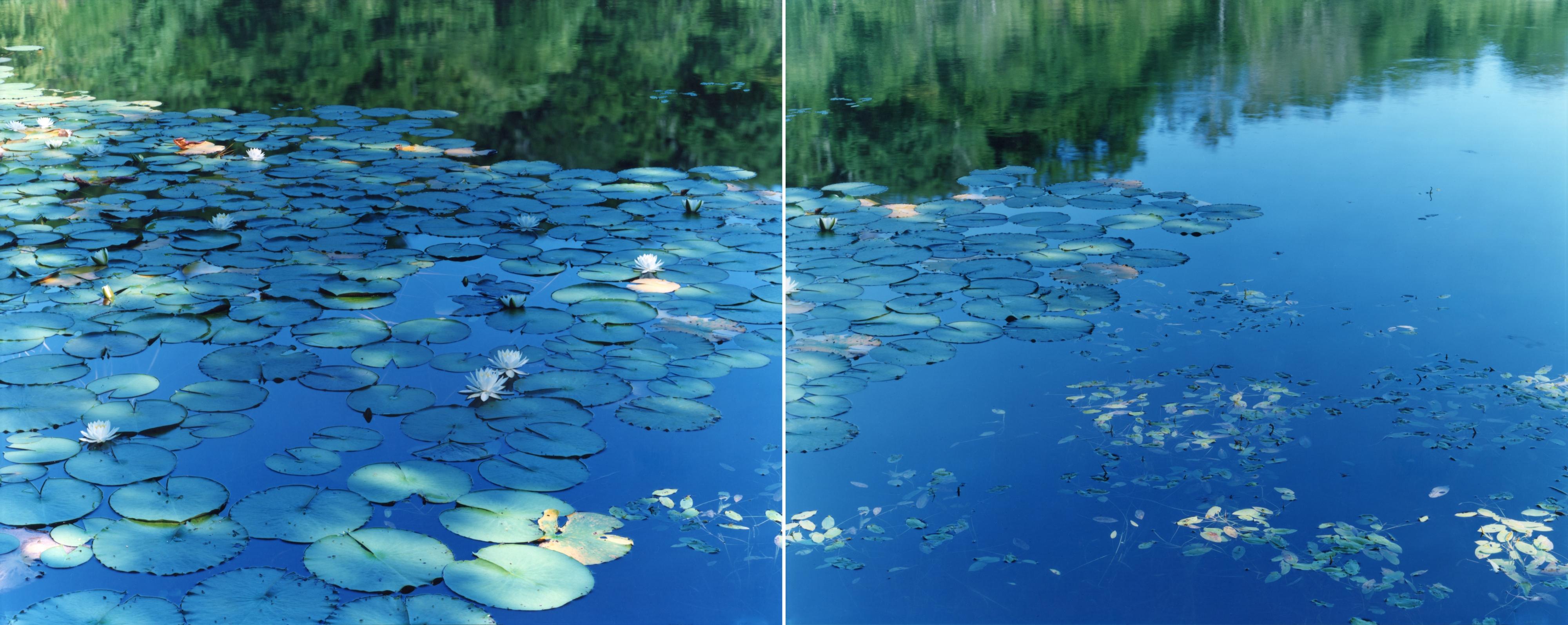 RISAKU SUZUKI (*1963, Japon)
Miroir d'eau 17, WM-788, 787 (diptyque)
2017
Tirage chromogène
(2x) Feuille 120 x 155 cm (47 1/4 x 61 in.)
Edition de 5 ; Ed. no. 2/5
Encadré

Water Mirror" est un condensé de tout ce qui rend la photographie de Suzuki