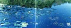 Water Mirror 16, WM-634, 636 (diptych) – Risaku Suzuki, Water, Water Lily