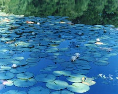 Water Mirror 16, WM-634, 636 (diptych) – Risaku Suzuki, Water, Water Lily