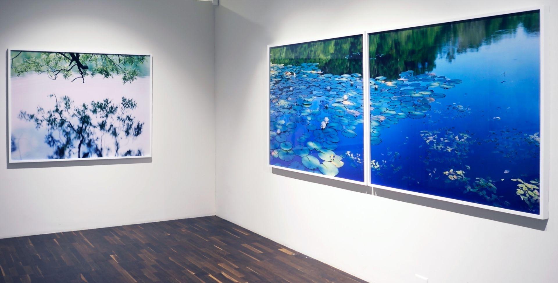 Miroir d'eau 16, WM-634, 636 (diptyque) - Risaku Suzuki, Eau, Nénuphar en vente 5