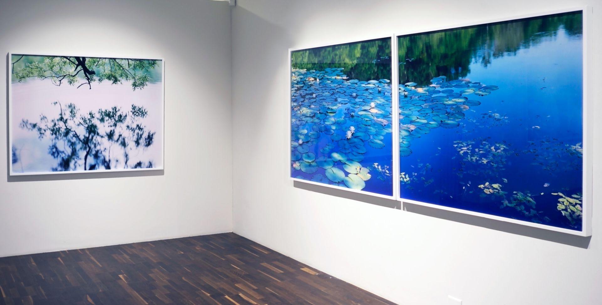 Water Mirror 16, WM-634, 636 (diptych) – Risaku Suzuki, Water, Water Lily For Sale 3