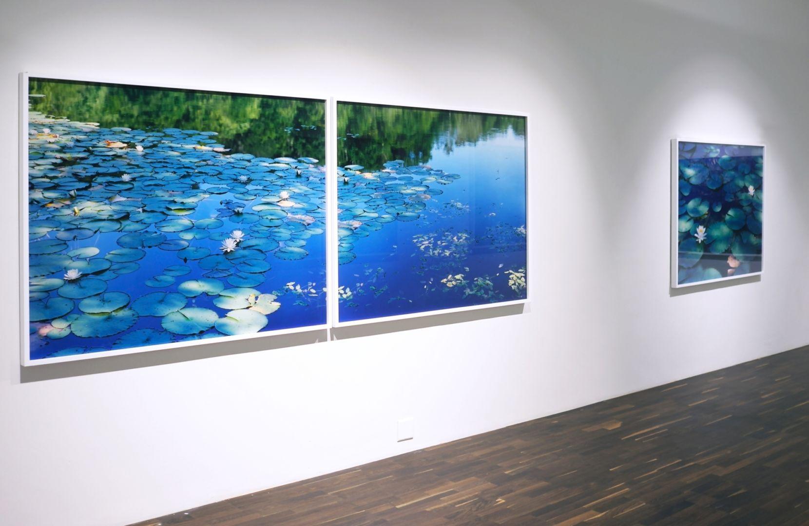 Miroir d'eau 16, WM-634, 636 (diptyque) - Risaku Suzuki, Eau, Nénuphar en vente 7