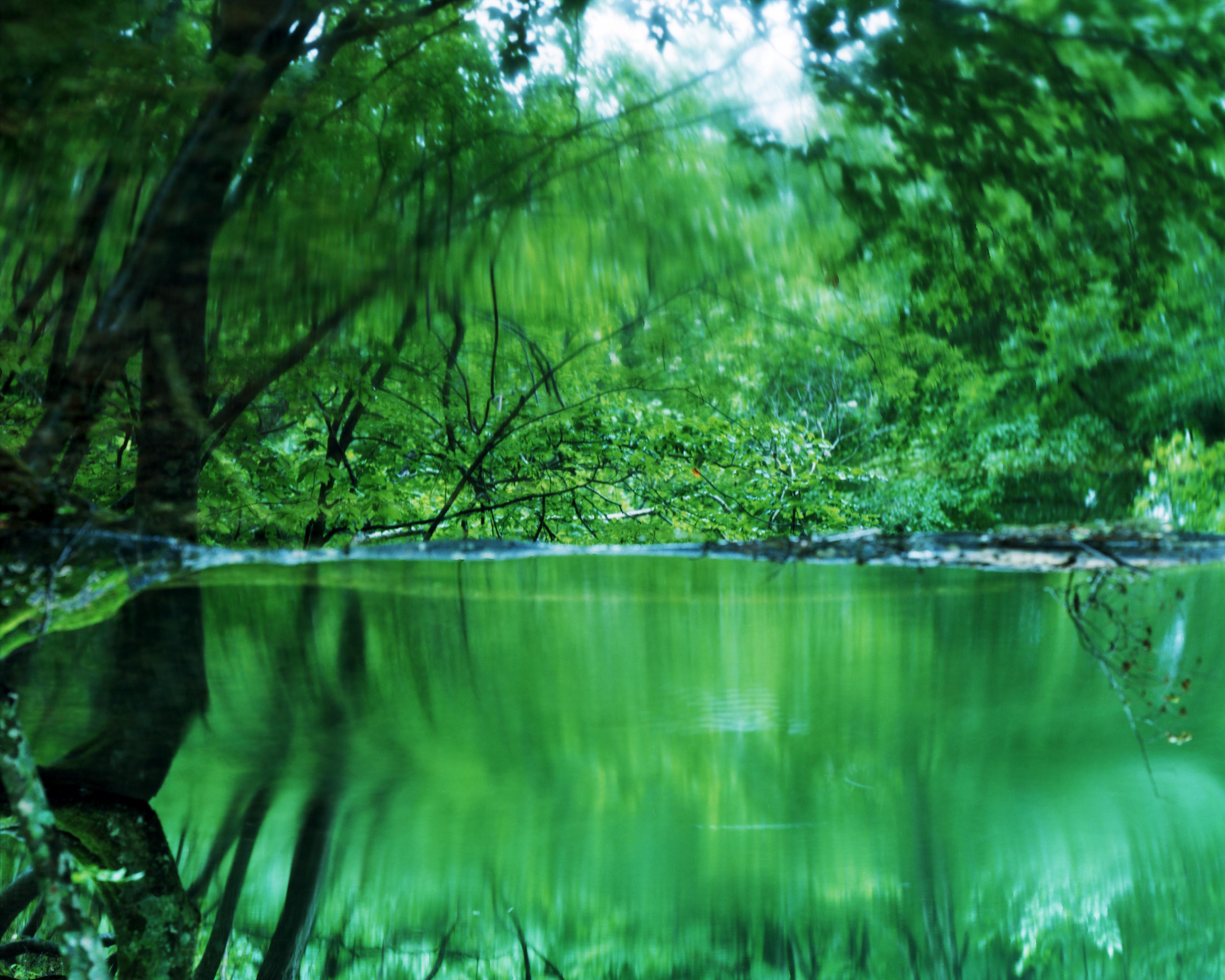 Water Mirror 17, WM-739 – Risaku Suzuki, Nature, Tree, Water, Mirror, Reflection