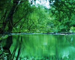 Water Mirror 17, WM-739 – Risaku Suzuki, Nature, Tree, Water, Mirror, Reflection