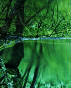 Specchio d'acqua 17, WM-739 - Risaku Suzuki, Natura, albero, acqua, specchio, riflesso