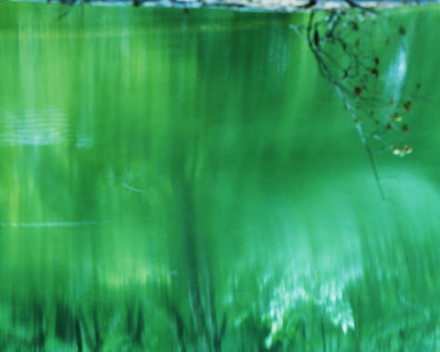 Wasserspiegel 17, WM-739 - Risaku Suzuki, Natur, Baum, Wasser, Spiegel, Reflexion im Angebot 3