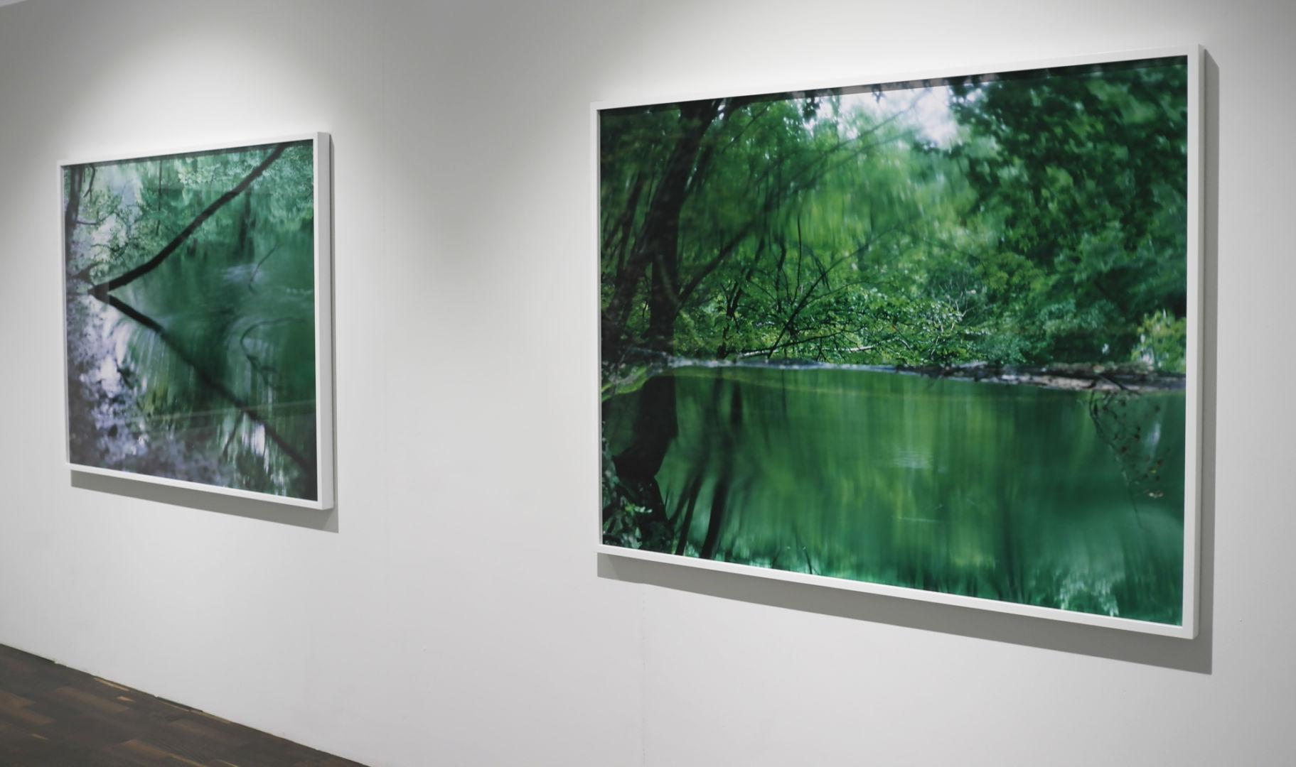 Water Mirror 17, WM-739 – Risaku Suzuki, Nature, Tree, Water, Mirror, Reflection For Sale 2