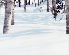 WHITE 07,H-122 – Risaku Suzuki, Nature, Snow, Forest, White, Winter, Japan Art