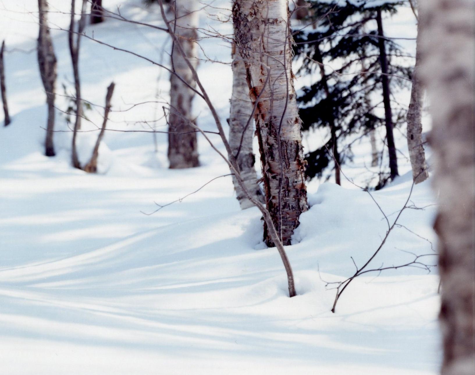 RISAKU SUZUKI (*1963, Japan)
WHITE 07,H-122
2007
Chromogenic print
Sheet 120 x 155 cm (47 1/4 x 61 in.)
Edition of 5; Ed. no. 3/5
Framed

 ‘Snowflakes are letters sent from heaven.’ – Ukichiro Nakaya

Risaku Suzuki has been taking pictures of snows