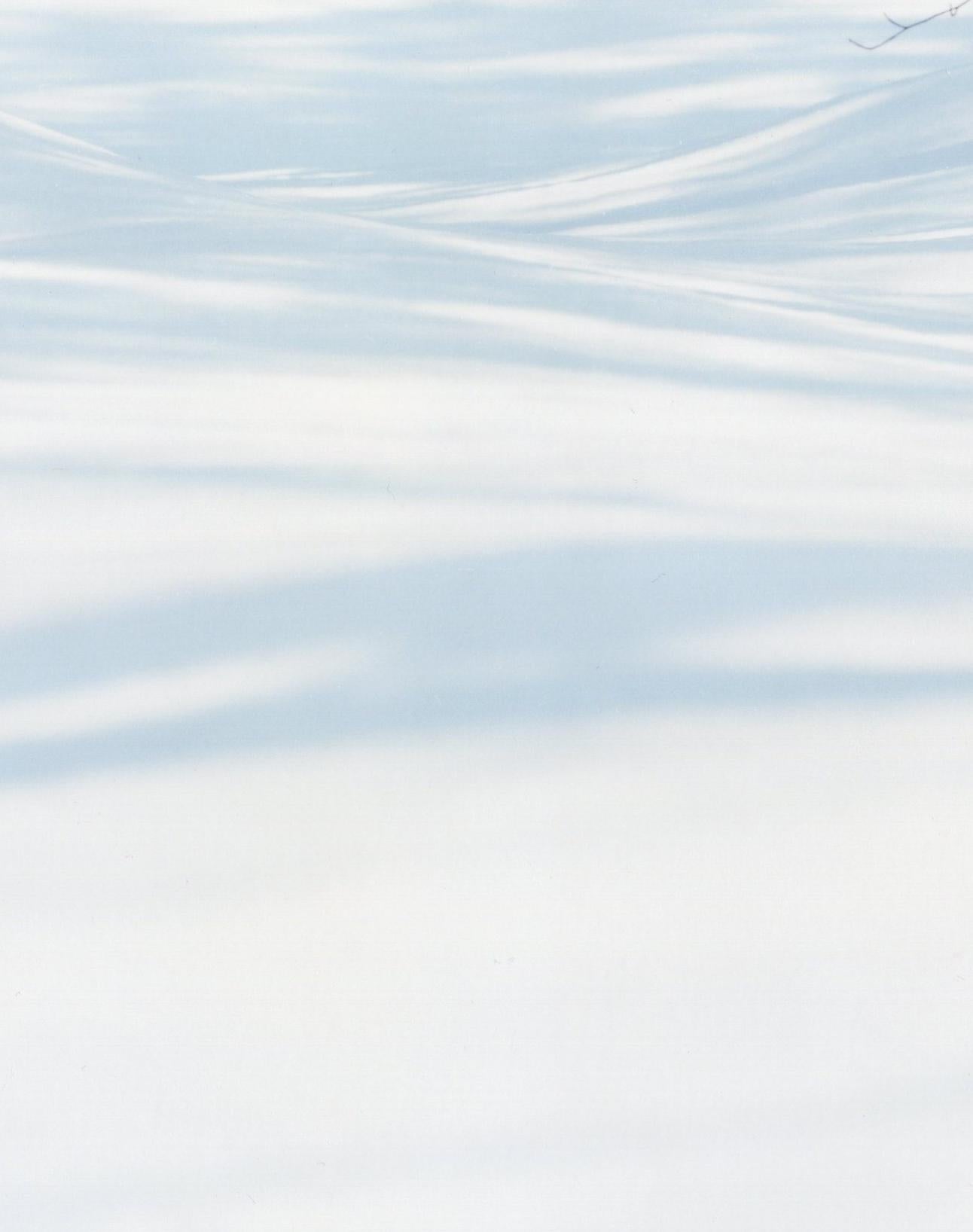WHITE 07, H-122 – Risaku Suzuki, Nature, Snow, Forest, White, Winter, Japan Art For Sale 2