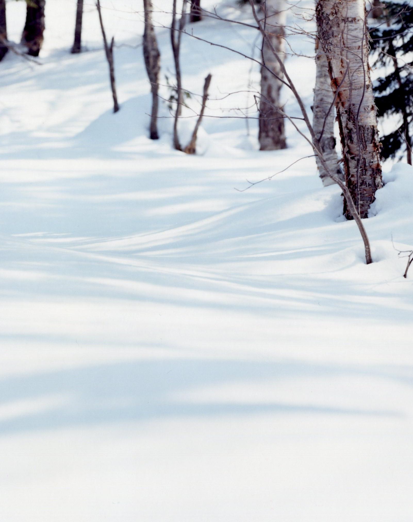 WHITE 07, H-122 – Risaku Suzuki, Nature, Snow, Forest, White, Winter, Japan Art For Sale 3
