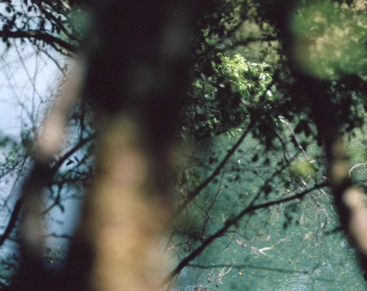 Tra il mare e la montagna - Kumano 14, DK-507 - Risaku Suzuki, Natura, Arte in vendita 1