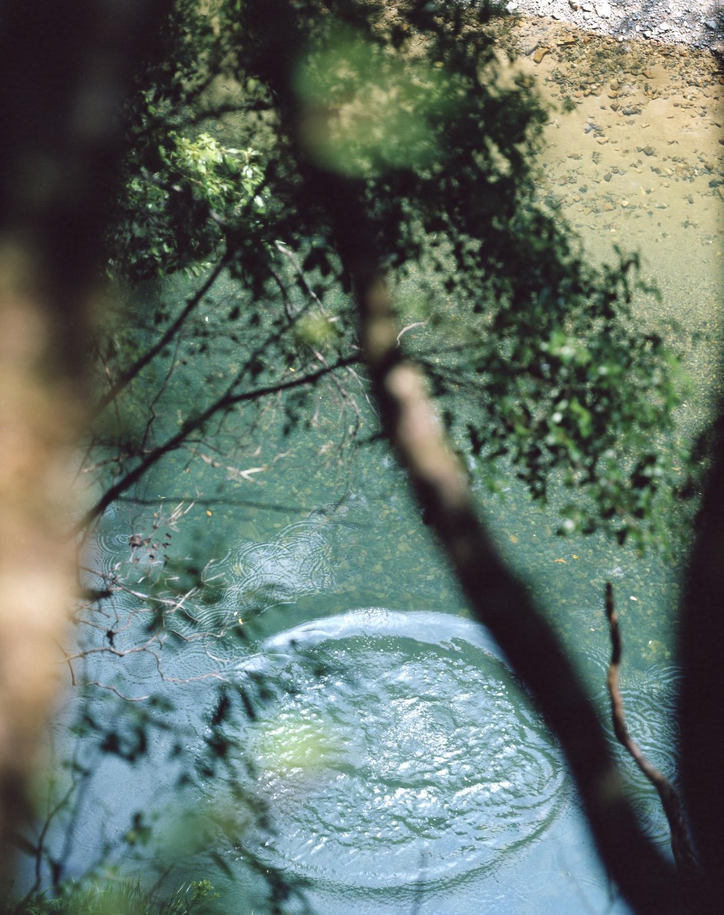 Between the Sea and the Mountain – Kumano 14, DK-507 – Risaku Suzuki, Nature, Art For Sale 4