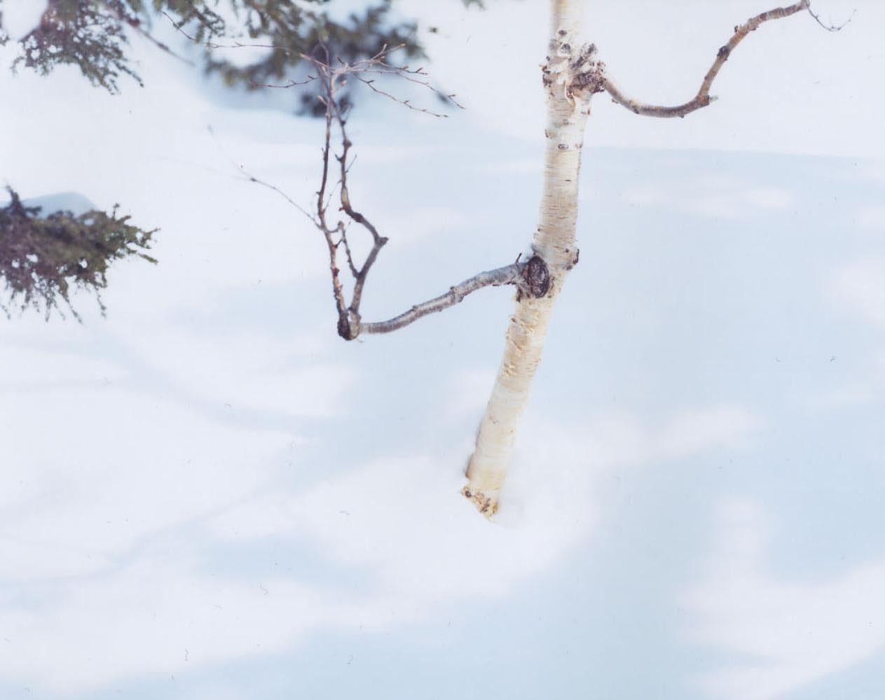 WHITE 07, H-88 – Risaku Suzuki, Nature, Snow, Forest, White, Winter, Japan Art For Sale 3