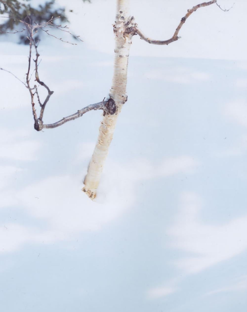 WHITE 07, H-88 – Risaku Suzuki, Nature, Snow, Forest, White, Winter, Japan Art For Sale 4